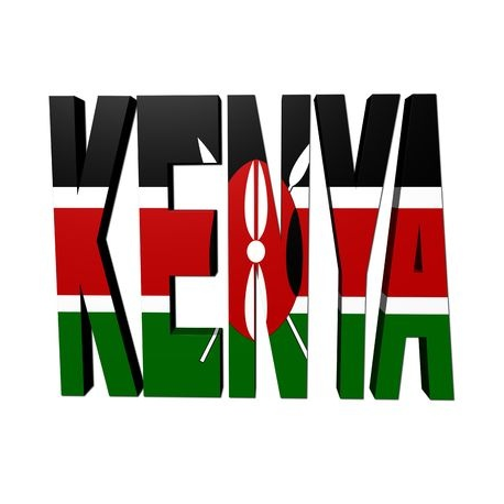 Door to Office Service to Kenya